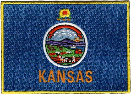 Vista 16 de Parche Bordado de la Bandera del Estado de Minnesota, Emblema MN, Planchado, Versión 2024