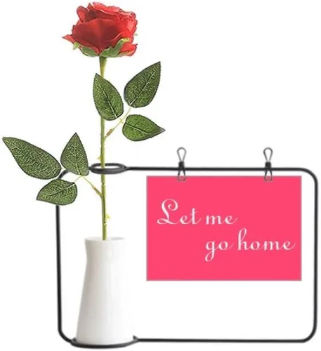 OFFbb-USA Let Me Go Home Art Deco Gift Fashion Artificial Rose Flower Hanging Vases Decoration Bottle