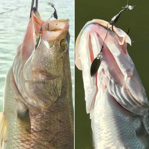 Vista 6 de Underspin-Jig-Heads-Swimbait-Hooks-with-Spinner Blades Pesca Anzuelos Pesados Paquete de 6