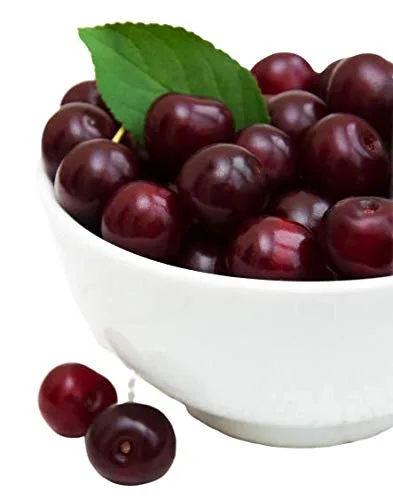 Fruta congelada fresca de Northwest Wild Foods - bayas silvestres orgánicas, naturales, para una dieta saludable y antioxidante. Ideal para batidos,