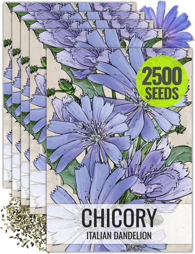 Vista 10 de Seed Needs Semillas de diente de león para plantar Taraxacum officinale - Herencia sin OMG y hierbas perennes no tratadas - Cultiva verduras