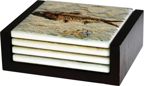 Vista 4 de Fossil Fish Images - Juego de 4 posavasos para azulejos de cerámica, soporte incluido