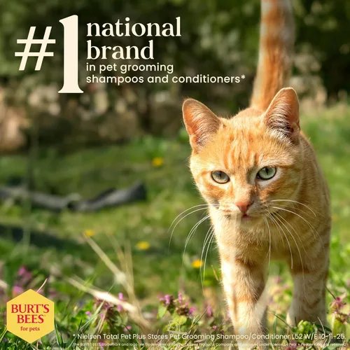 Vista 7 de Burt's Bees for Pets Champú Hipoalergénico para Gatos con Manteca de Karité y Miel - Un Champú Suave para Gatitos para Gatos de Interior con Piel
