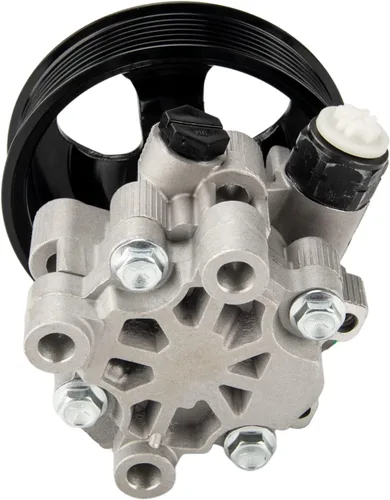 Vista 308 de PHILTOP Bomba de dirección asistida 21-5260 OE apta para Elantra 2001-2005, Tiburon 2003-2008, bomba de asistencia de dirección 571002D100