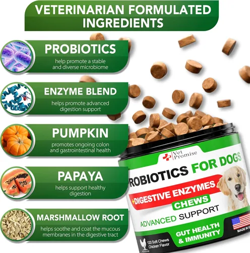 Vista 3 de Probióticos para perros – Probióticos para perros y enzimas digestivas para la salud intestinal, picazón en la piel, alergias, inmunidad, equilibrio