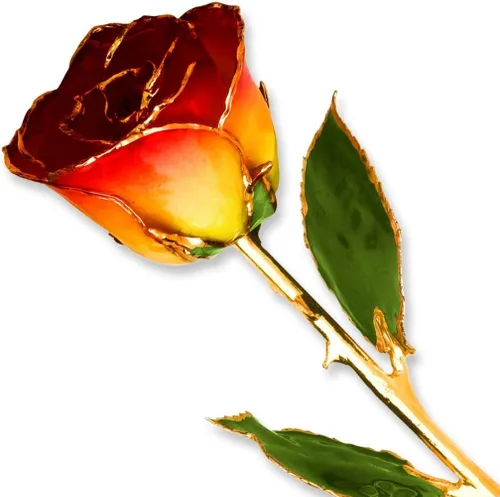 Vista 9 de Rosa real bañada en oro de 24 quilates de 11" (negro)