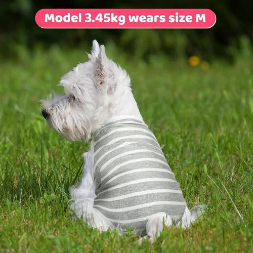 Vista 2 de 3 piezas de pañales reutilizables para perras, pañales lavables para cachorros, bragas sanitarias con tirantes ajustables, ropa