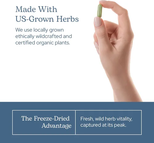 Vista 7 de Eclectic Herb - Cápsulas de vejiga liofilizadas prémium Apoyo del sistema endocrino Piel y cabello saludables Suplemento de algas marinas