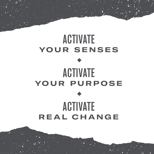 Vista 6 de Numi Té orgánico Matcha Toasted Rice, caja de 18 bolsas de té (paquete de 6) té verde (el embalaje puede variar)