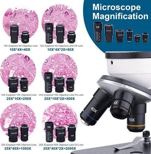 Vista 2 de BEBANG - Microscopio monocular para adultos y estudiantes, aumento de 40X-2000X, microscopios duales LED para principiantes y niños con kits