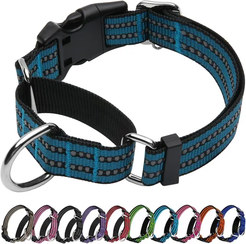 Vista 33 de Martingale - Collar para perro, collar reflectante ajustable de nailon con hebilla de liberación rápida (verde manzana, talla S)