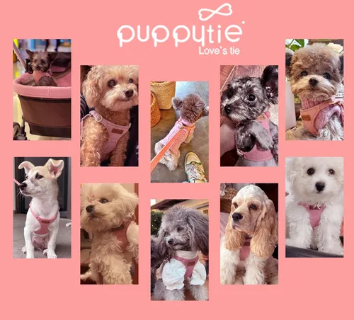 Vista 6 de Arnés para cachorros Puppytie XXS sin tirones con correa multifuncional para perro, suave ajustable, sin estrangulamiento, a prueba de escapes