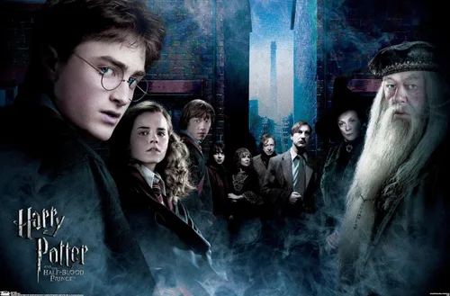Vista 9 de Trends International Harry Potter and the Half-Blood Prince - Fraternity Wall Poster, 14.725" x 22.375", Barnwood Framed Version