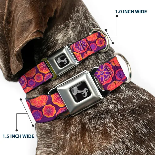 Vista 2 de buckle-down 13 – 18" Boho Mandala morados/Naranjas/PINKS perro collar HUESO, Wide pequeñas