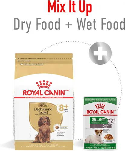 Vista 5 de Royal Canin Breed Health Nutrition Dachshund 8+ Alimento seco para perros mayores, bolsa de 3 libras