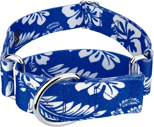 Vista 20 de Country Brook Petz - Collar para perro Martingala Anchors Away - Colección Summer Breeze con diseños soleados (1 1/2 pulgadas, mediano)