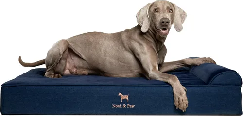 Vista 14 de NOAH & PAW Cama pequeña para perros, 20 x 15 x 6.5 pulgadas, cama para gatos de interior, espuma viscoelástica ortopédica de cáscara de huevo