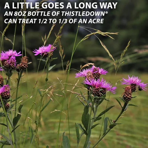 Vista 3 de Monterey Thistledown incluido con cuchara medidora, concentrado de control de cardo y trébol herbicidas, 8 onzas