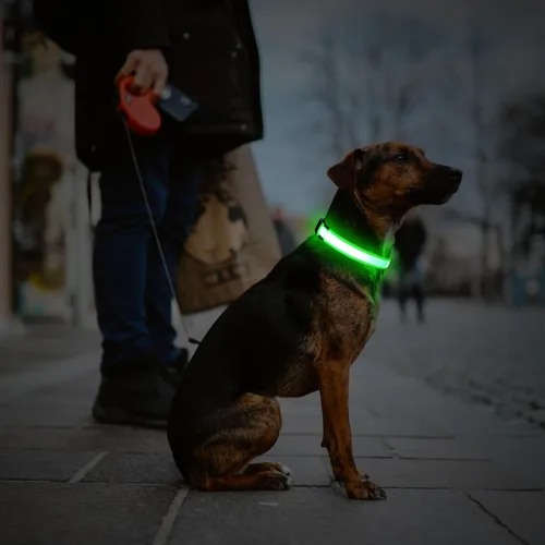 Vista 7 de Collar para perro con luz LED, recargable por USB, collares brillantes ajustables para perros, collar de seguridad reutilizable para perros