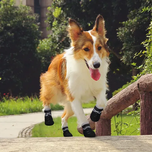 Vista 5 de PETLOFT Calcetines antideslizantes para perro, 4 piezas calcetines antideslizantes para interiores con correa de cierre desmontable ajustable