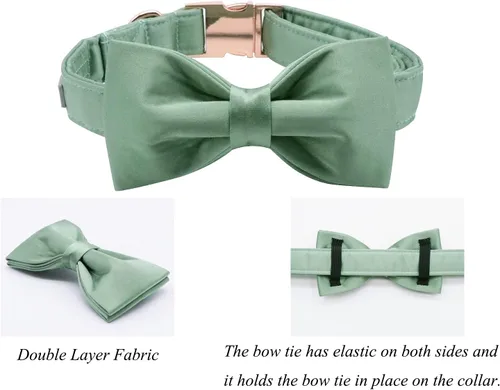 Vista 3 de Lionet Paws Collar de perro con pajarita, cómodo collar de seda verde para perro con pajarita desmontable para cachorros y gatos, cuello de 8 a 12