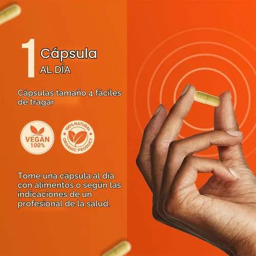 Vista 8 de INVITA, Suplemento vitamínico ADK – 90 cápsulas – Alta potencia de vitamina A, D3 5000 UI y K2-MK7 – Médico formulado para apoyo óseo, corazón e