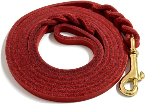 Vista 13 de Guiding Star Correa de cuero para perro de 6 pies, correas para perros grandes, resistente, suave, trenzada, hecha a mano, correa de entrenamiento