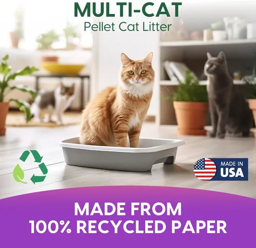 Vista 3 de Fresh News Arena para gatos de papel no aglomerante para múltiples gatos, 25 libras, el embalaje puede variar