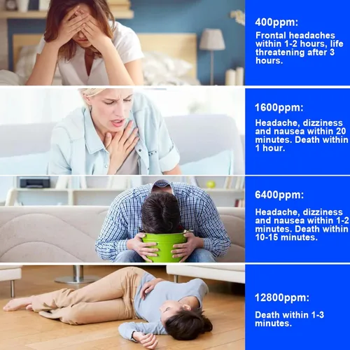 Vista 6 de Carbon Monoxide Detectors with LED Digital Display, Portable Carbon Monoxide Alarms for Home, CO Alarm with UL2034, Replaceable