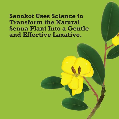 Vista 7 de Senokot Regular Strength, 50 Tabletas, Laxante de Senna para Alivio del Estreñimiento en Adultos