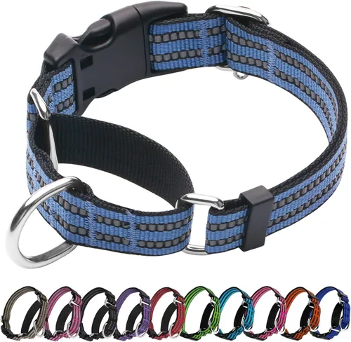 Vista 21 de Martingale - Collar para perro, collar reflectante ajustable de nailon con hebilla de liberación rápida (verde manzana, talla S)