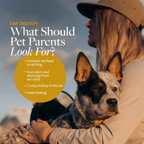 Vista 4 de Veterinary Formula Clinical Care Hot Spot & Itch Relief Champú medicado para perros y gatos (16 onzas) + terapia de oídos Veterinary Formula