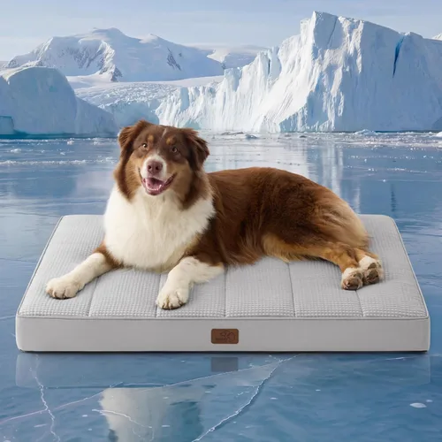Vista 54 de Bedsure Camas para Perros Pequeños – Camas Planas XS Cómodas para Cachorros con Funda Extraíble Lavable, Colchoneta de Espuma Ortopédica Tipo Cartón