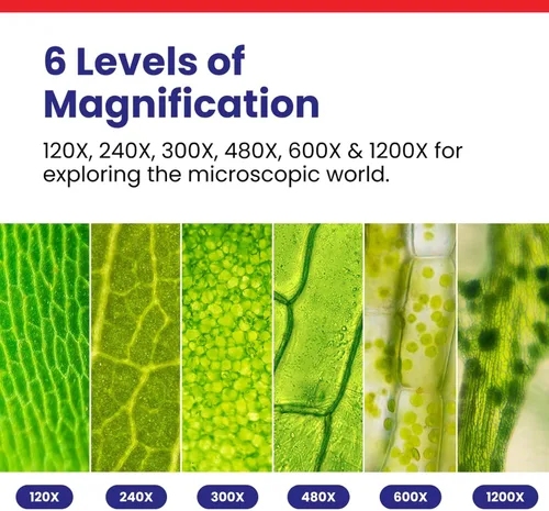 Vista 3 de Bastidor y base de metal Amscope Kids M30-ABS-KT51 120x-1200x de 6 potencias con accesorios de 52 piezas, entre el top 3 de elegidos como mejor kit