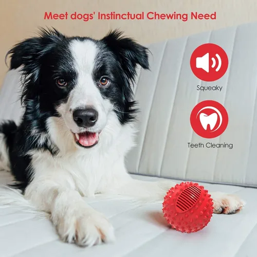 Vista 2 de petizer Juego de pelota chirriante para perros y juguetes masticables para perros