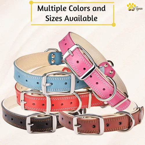 Vista 7 de ADITYNA Collar de perro de cuero negro resistente para perros pequeños, acolchado suave para mayor comodidad, collar de perro pequeño para caminar