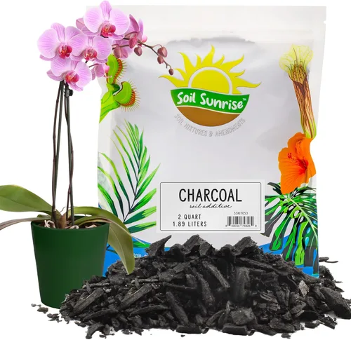 Soil Sunrise Carbón Hortícola para Plantas de Interior (2 Cuartos) Aditivo de Suelo de Madera Dura para Orquídeas, Terrarios y Jardinería