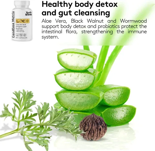 Vista 6 de Youth & Tonic Suplemento de salud intestinal de orégano y ácido caprílico con probióticos y hierbas para el equilibrio de la flora intestinal