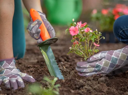 Vista 7 de SE Prospector's - Pala compacta para excavadora de bordes dentados para jardinería, prospección y detección de metal u oro, incluye funda