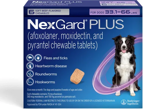 Vista 18 de NexGard Plus (afoxolaner, moxidectina y pirantel) Protección contra Pulgas y Garrapatas y Preventivo del Gusano del Corazón para Perros Masticables