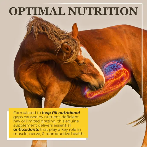 Vista 2 de Equerry's Suplemento de selenio y vitamina E para caballos Salud muscular y antioxidante Suplemento para caballos Forma de comida Bolsa de 20