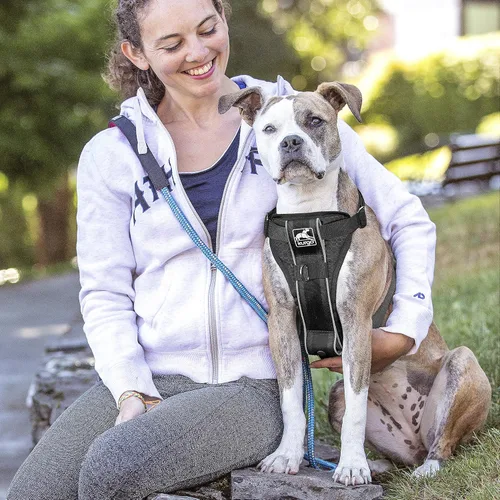 Vista 3 de Kurgo Tru-Fit - Arnés inteligente para caminar para perros, ajuste cómodo, arnés ajustable, reflectante para mascotas, liberación rápida