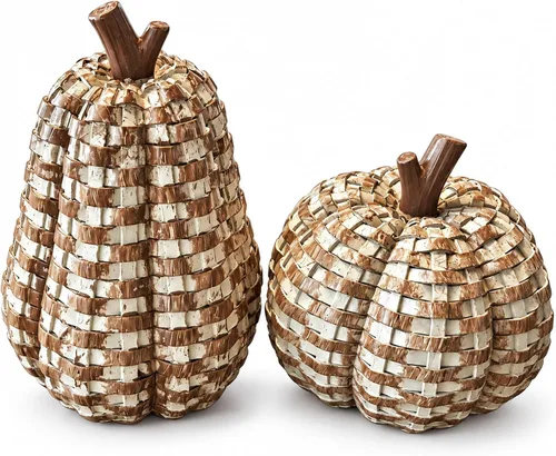 winemana Paquete de 2 calabazas decorativas de otoño, calabazas de resina Marrón
