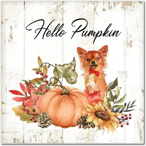 Hello Pumpkin Boston Terrier Dog Wood Signs Pumpkin Farm Wall Plaque Gives Thanks Porch Sign Rustic Home Family Wall Decoration for Home Front Door