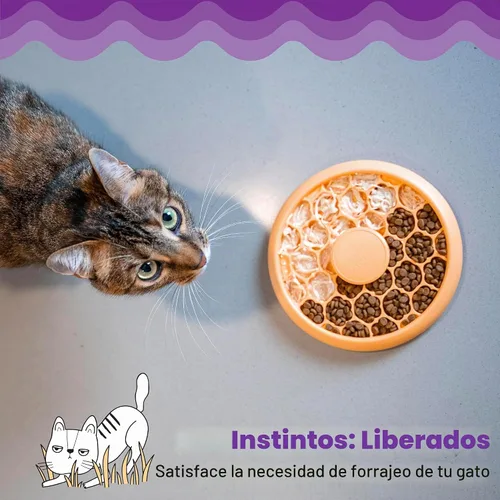 Vista 6 de Catstages Alimentador lento para gatos