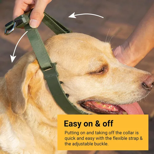 Vista 3 de SVD.PET Collar de punta para perro para entrenamiento sin tirones, hebilla de liberación rápida ajustable para perros pequeños