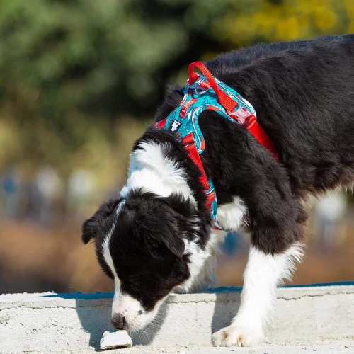 Vista 5 de TRUE LOVE Arnés para perro sin tirones de nailon reflectante suave camuflaje arnés para mascotas para perros pequeños grandes corriendo