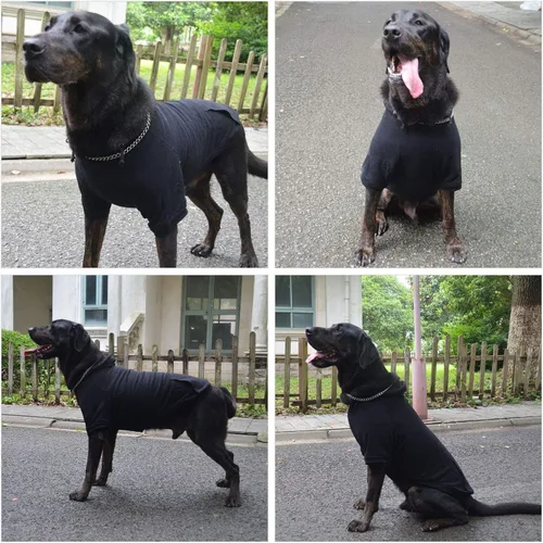 Vista 4 de Lovelonglong Sudadera básica con capucha para perros, 100% algodón, se adapta a perros pequeños, medianos y grandes, color negro, XS