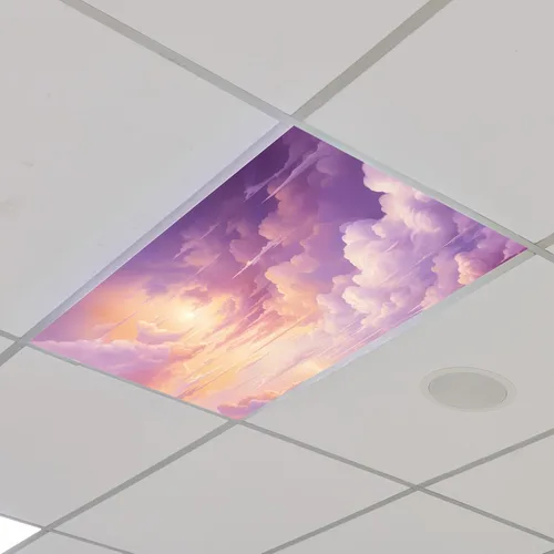 Vista 15 de Outus 4 piezas de cubierta de luz fluorescente para iluminación de aula con 10 imanes, filtro de luz magnético, decoración de panel de techo de 2 x