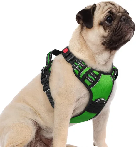 Vista 29 de rabbitgoo Arnés para perro de tamaño pequeño, chaleco para perro sin tirones con 3 hebillas, arnés ajustable y acolchado suave para mascotas con asa